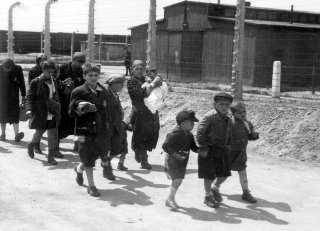 Magyar zsidók a birkenaui barakkok előtt, útban a különálló gázkamrák felé, 1944