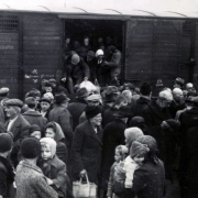 Magyar zsidók Auschwitzba érkeznek, 1944