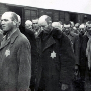 Szelekcióra várva, Birkenau