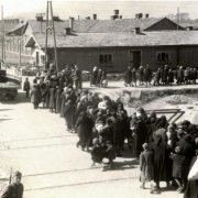 Úton a krematórium felé, Birkenau, 1944